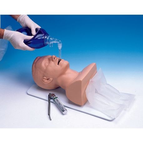 Armstrong Adult Intubation Manikin