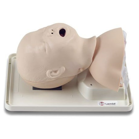 Laerdal Infant Intubation Model featuring realistic anatomical parts on a white tray, including a transparent trachea and a detachable tongue.