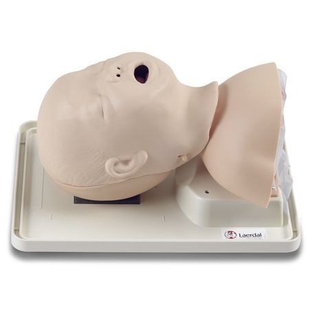 Laerdal Infant Intubation Model featuring realistic anatomical parts on a white tray, including a transparent trachea and a detachable tongue.