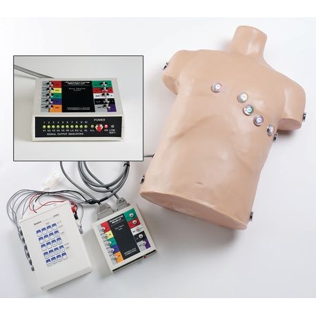 A manikin resembling a human thorax with color-coded magnets for ECG lead placement training, accompanied by a control unit and a rhythm simulator not shown in the pic.