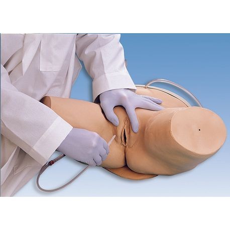 A photo of a female catheter simulator torso with a person wearing gloves demonstrating catheterization.