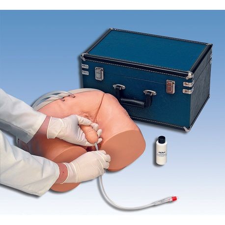 Male Catheterization Simulator