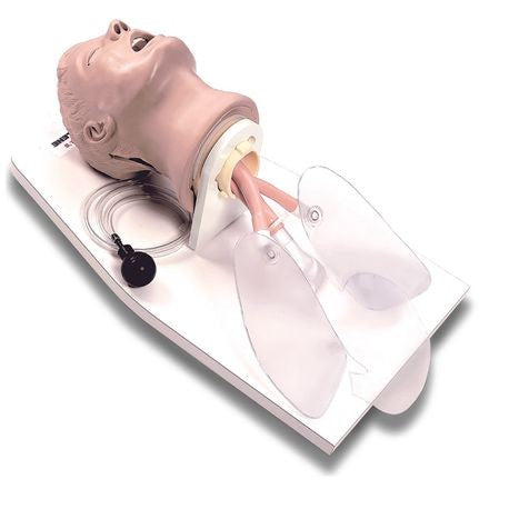Larry Intubation Trainer