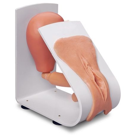 Catheterization Trainers