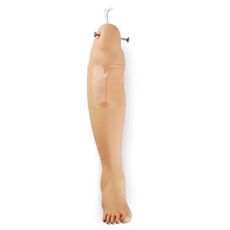 A manikin representing an intraosseous leg, typically used for medical training purposes.